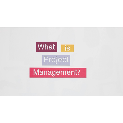 What is project management? icon