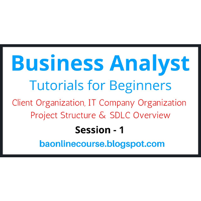 Business Analyst Tutorials for Beginners icon