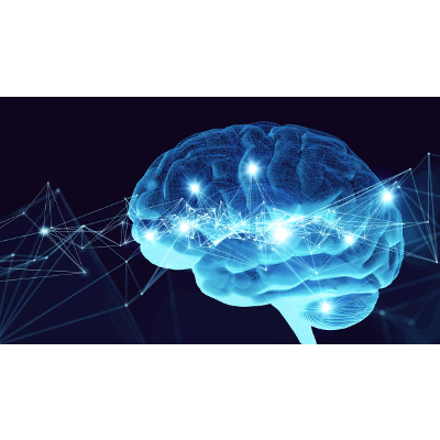 Neuroethics guidance documents: principles, analysis, and implementation strategies