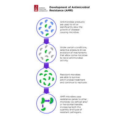 Antimicrobial Resistance Resource page icon