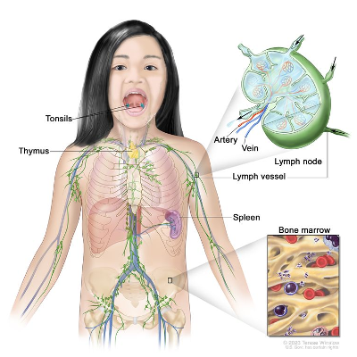 Childhood Hodgkin Lymphoma Treatment icon