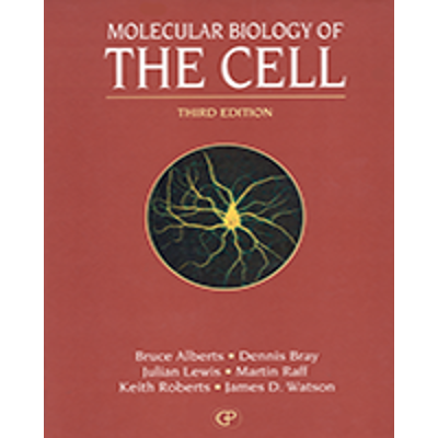 Figure 6-80, The life cycle of bacteriophage lambda - Molecular Biology of the Cell - NCBI Bookshelf icon