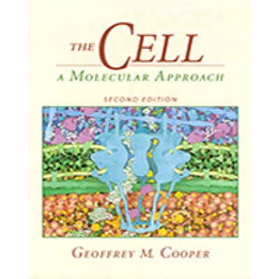 Figure 6.41, In vitro splicing - The Cell - NCBI Bookshelf