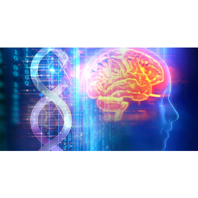 Researchers Map the Genetic Landscape of Schizophrenia in the Brain icon