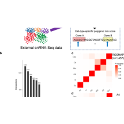 New insights into the genetic etiology of Alzheimer’s disease and related dementias - Nature Genetics icon