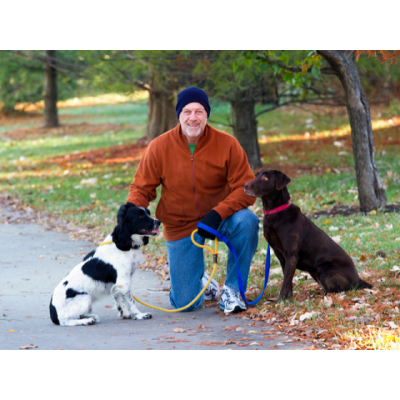 Comparative Oncology Program | Center for Cancer Research icon