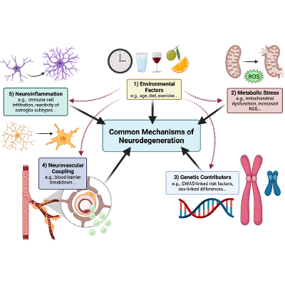 Solving neurodegeneration: common mechanisms and strategies for new treatments - Molecular Neurodegeneration icon