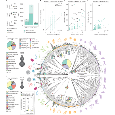 Systematic evaluation of horizontal gene transfer between eukaryotes and viruses - Nature Microbiology icon