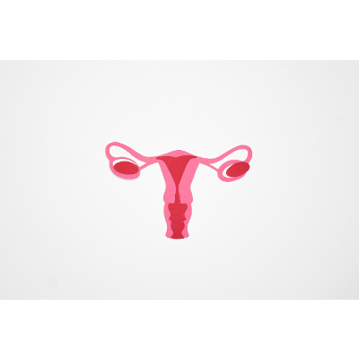 Racial Disparities in Endometrial Cancer Mortality icon