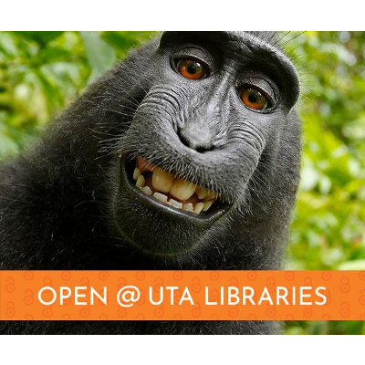 Using Generative AI in OER Creation—What We Know Now | UTA Libraries