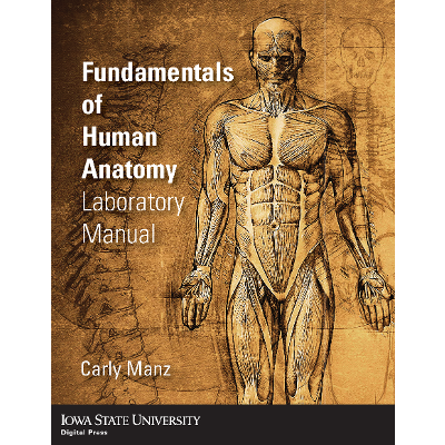 Fundamentals of Human Anatomy Laboratory Manual icon