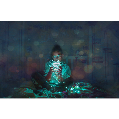 Overshoot: The Ecological Basis of Revolutionary Change