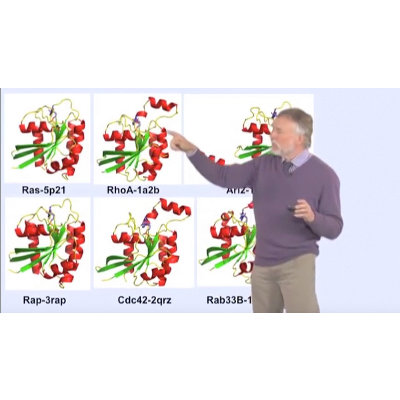 G-Proteins as Molecular Switches icon