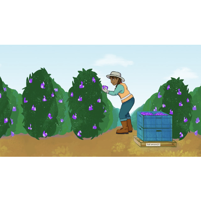 Produce TRAINer icon