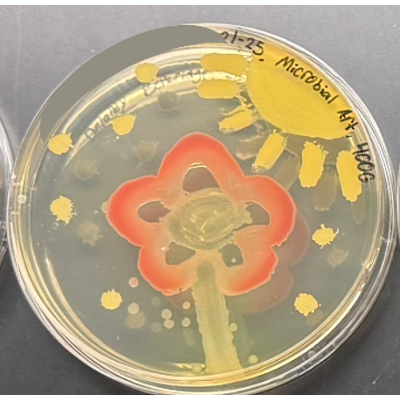 Microbial Art icon