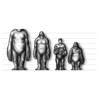 So, Why Do People Believe In Bigfoot Anyway? icon