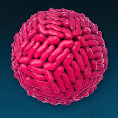 Learning Scientific Language with a Graphic Organizer icon