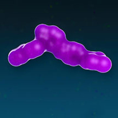 The Pregnancy Test and the Frog icon