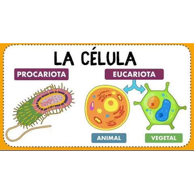 INTRODUCCIÓN A LA CELULA icon