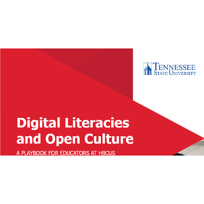 Digital Literacies and Open Culture icon
