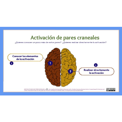 ACTIVACION DE PARES CRANEALES icon