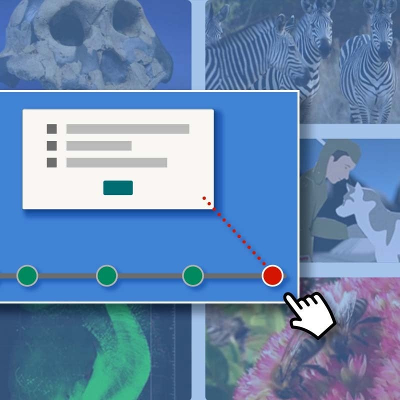 Interactive Video Builder icon