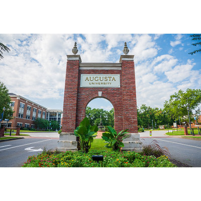 Radiation Therapy Patient Care icon