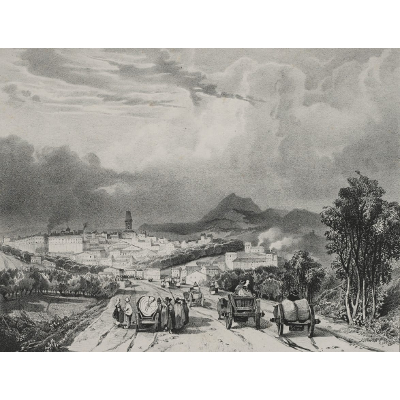 Faenum Image Search icon