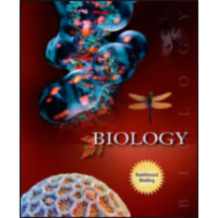 Fetal Development and Risk icon