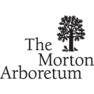 SearchMOR: the integrated plants database of The Morton Arboretum icon