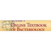 Microbiology Textbook