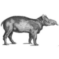 The Anxiety Panic Resource icon