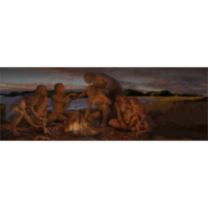 Human Evolution Timeline icon