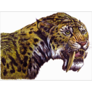 Life has a History icon