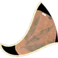 Understanding Geologic Time icon