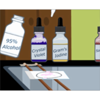 Virtual Labs: Gram Staining icon