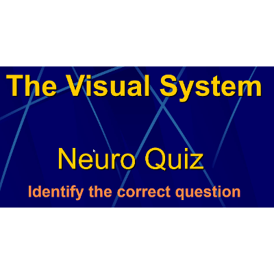 Visual System Quiz Game icon