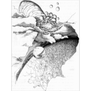 Cell Biology Animation icon