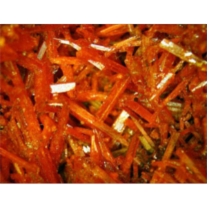 Micscape: Microscopy for students and educators