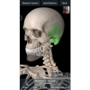 Essential Skeleton 3 App for iOS icon