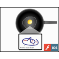 Heat Changes Protein Structure