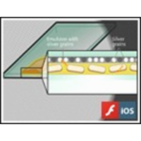 Preparation of a Microautoradiogram