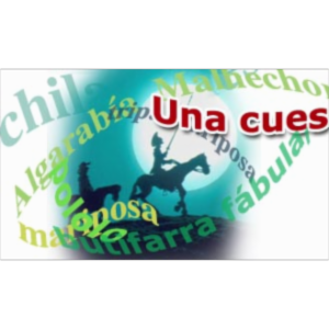 Una cuestión de lengua