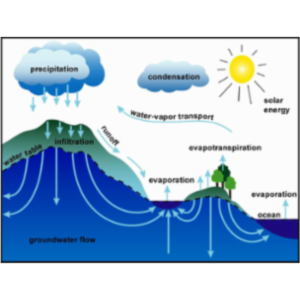 The Nitrogen Cycle and Water Quality