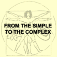 The Brain from Top to Bottom! icon