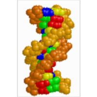 BioMolecular Explorer 3D (BME3D)