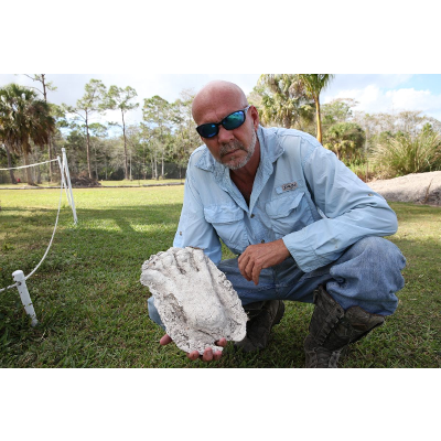 On the Trail of Florida's Bigfoot--the Skunk Ape icon
