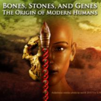 Bones, Stones, and Genes: The Origin of Modern Humans  Lecture 4 – Hominid Paleobiology icon