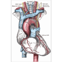 Gray's Human Anatomy Online icon