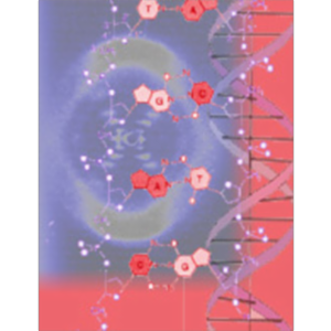 DNA Double Helix (Watson and Crick) icon